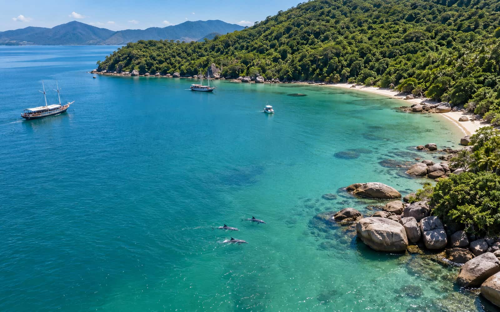 Baía dos Golfinhos